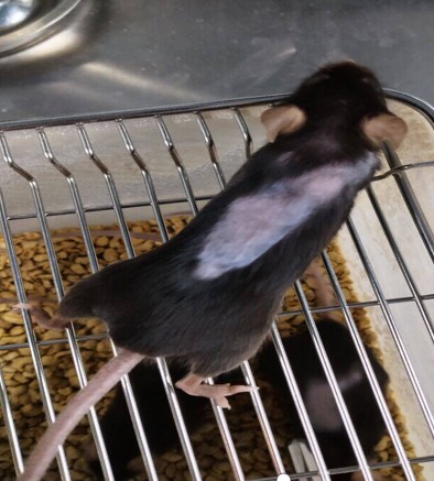 1760345149204697.jpg 6.jpg